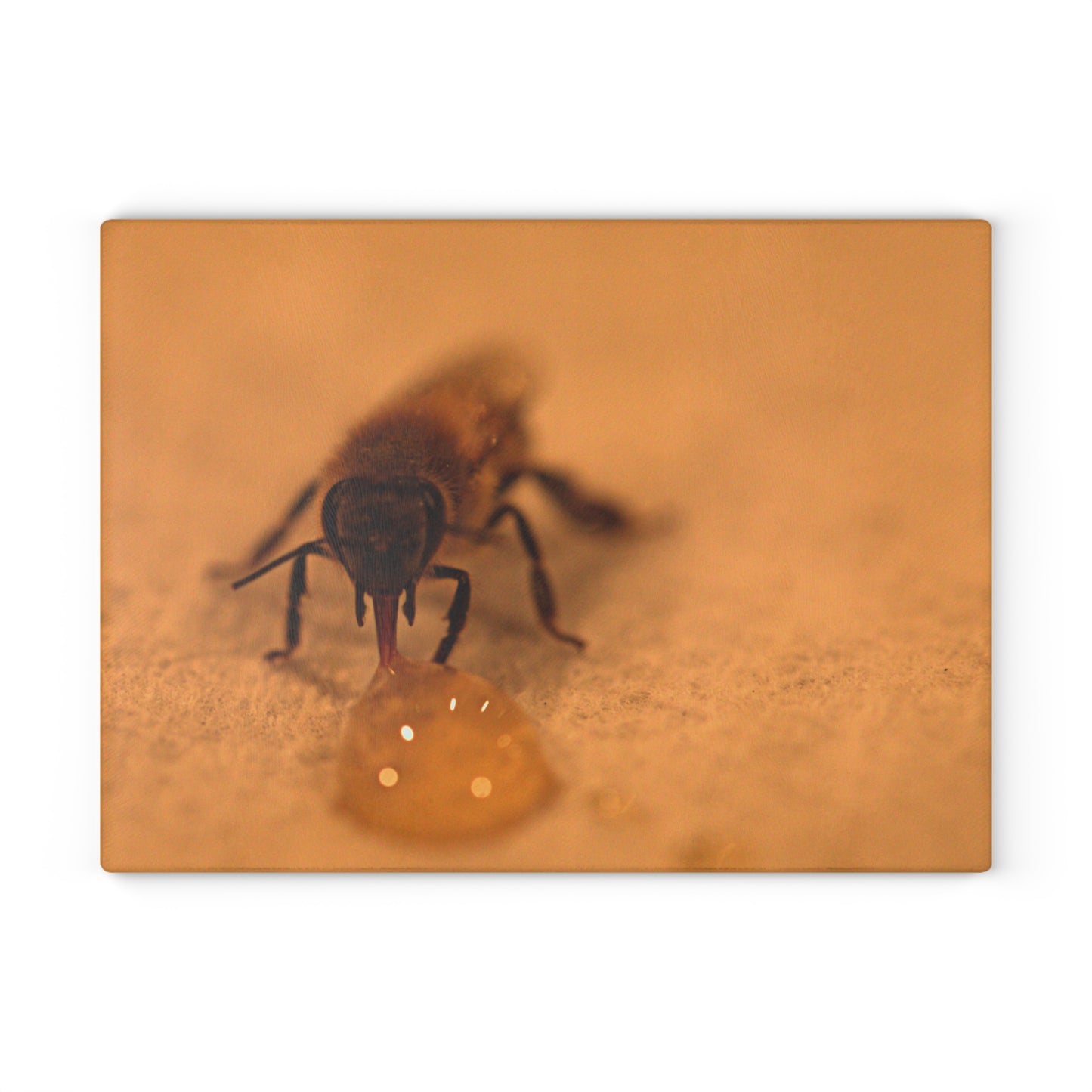 Honey Bee Glass Cutting Board