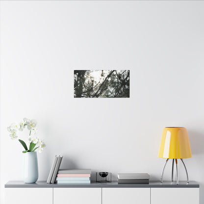 Of The Trees Wall Art Canvas