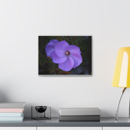 Violet Twist Wall Art Canvas