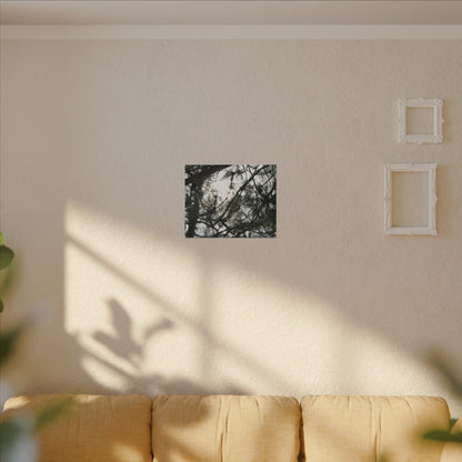 Of The Trees Wall Art Canvas