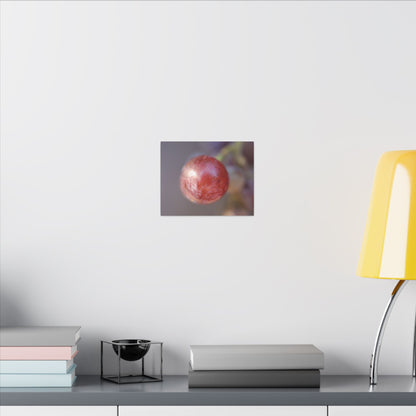 The Grape That Stood Alone Wall Art Canvas