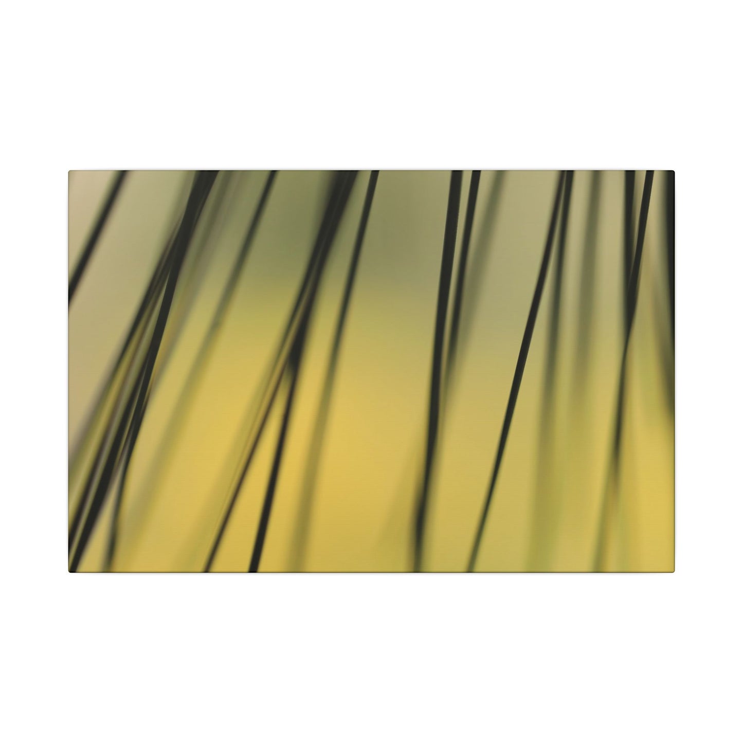 Through the Pine Needles Wall Art Canvas