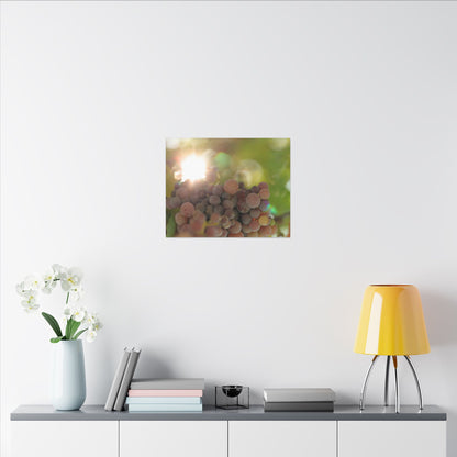 Grape Shine Wall Art Canvas