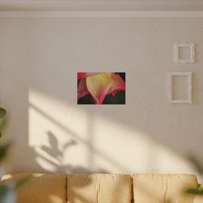 Delicate Rain Rose Wall Art Canvas