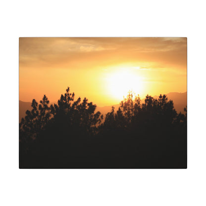 Angeles Forest Wall Art Canvas