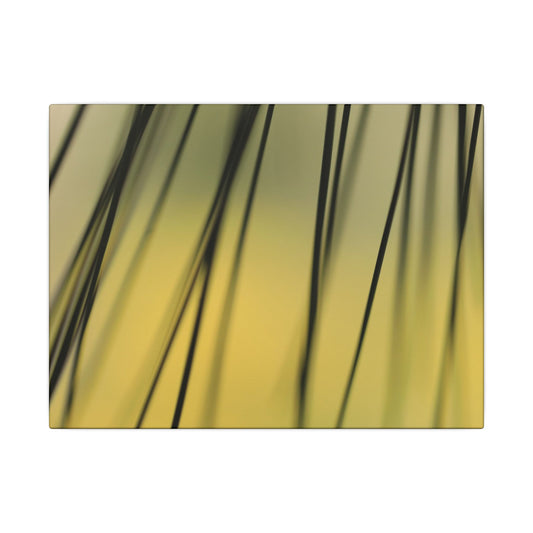 Through the Pine Needles Wall Art Canvas