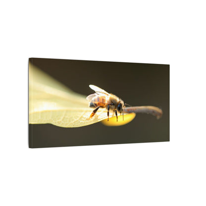 Honey Bee Glow Wall Art Canvas
