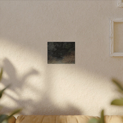 Hidden Path Wall Art Canvas