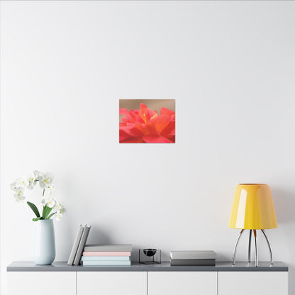 Color Bloom Rose Wall Art Canvas