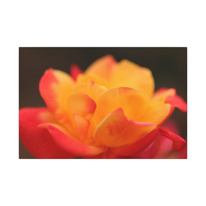 Electric Bloom Wall Art Canvas
