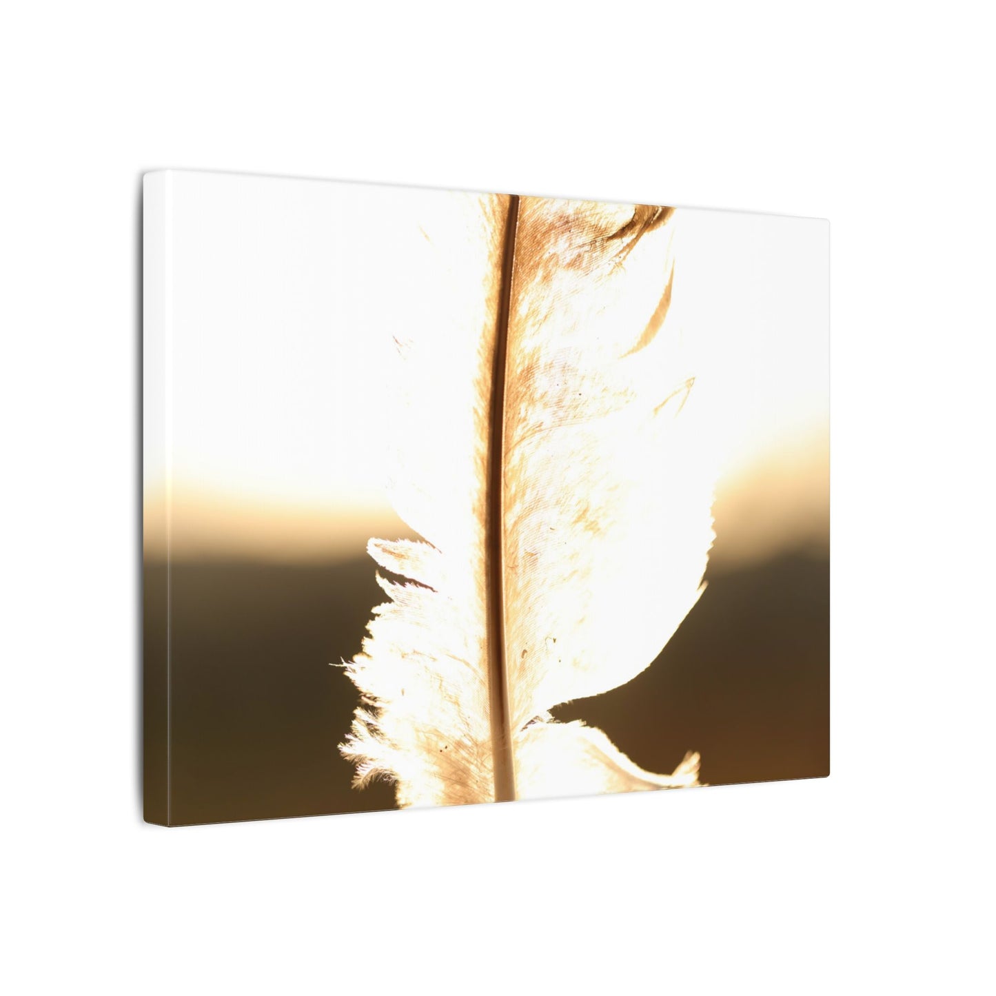 Feather in the Sun Wall Art Canvas