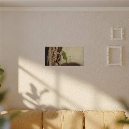 Grasshopper Push It Wall Art Canvas