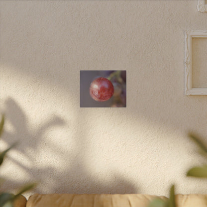 The Grape That Stood Alone Wall Art Canvas