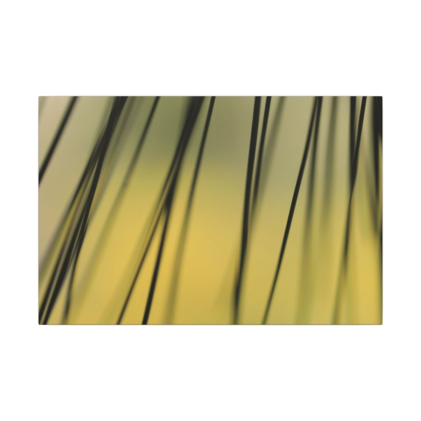 Through the Pine Needles Wall Art Canvas