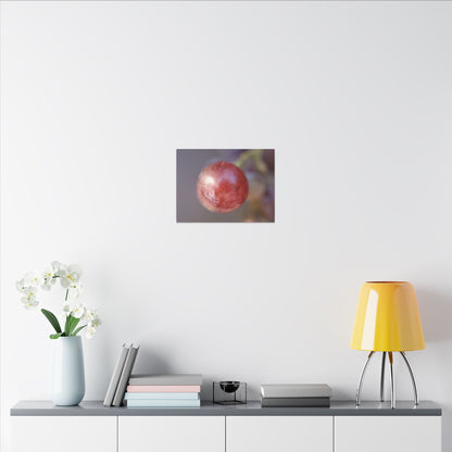 The Grape That Stood Alone Wall Art Canvas