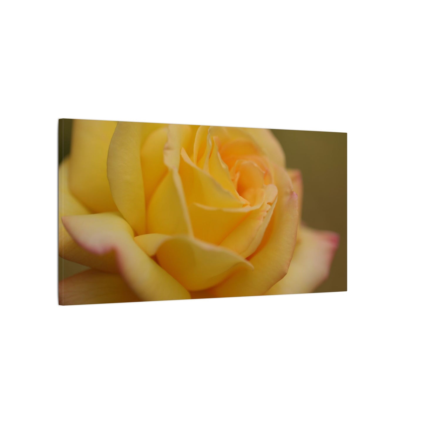 Yellow Delight Rose Wall Art Canvas