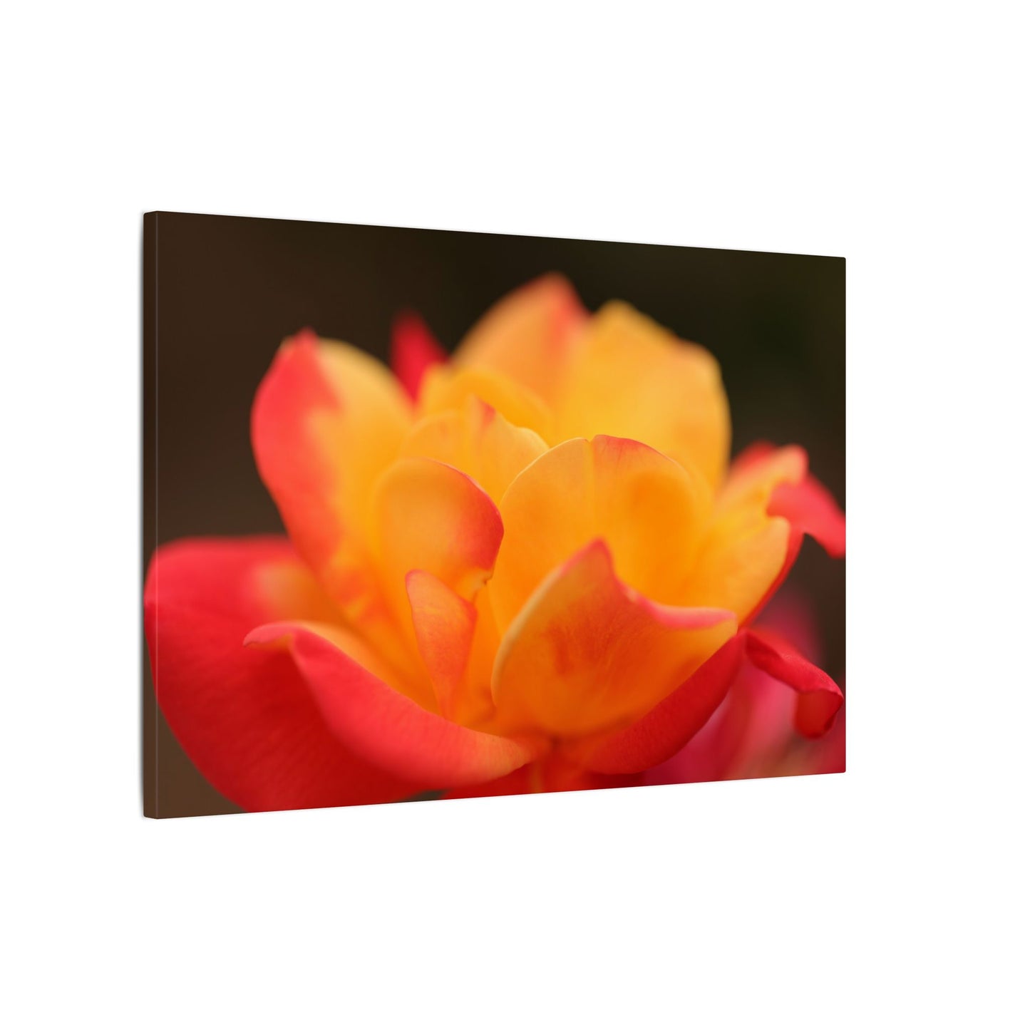 Electric Bloom Wall Art Canvas