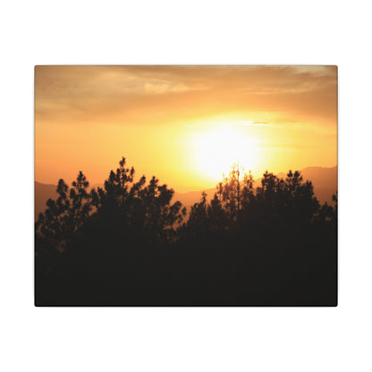 Angeles Forest Wall Art Canvas