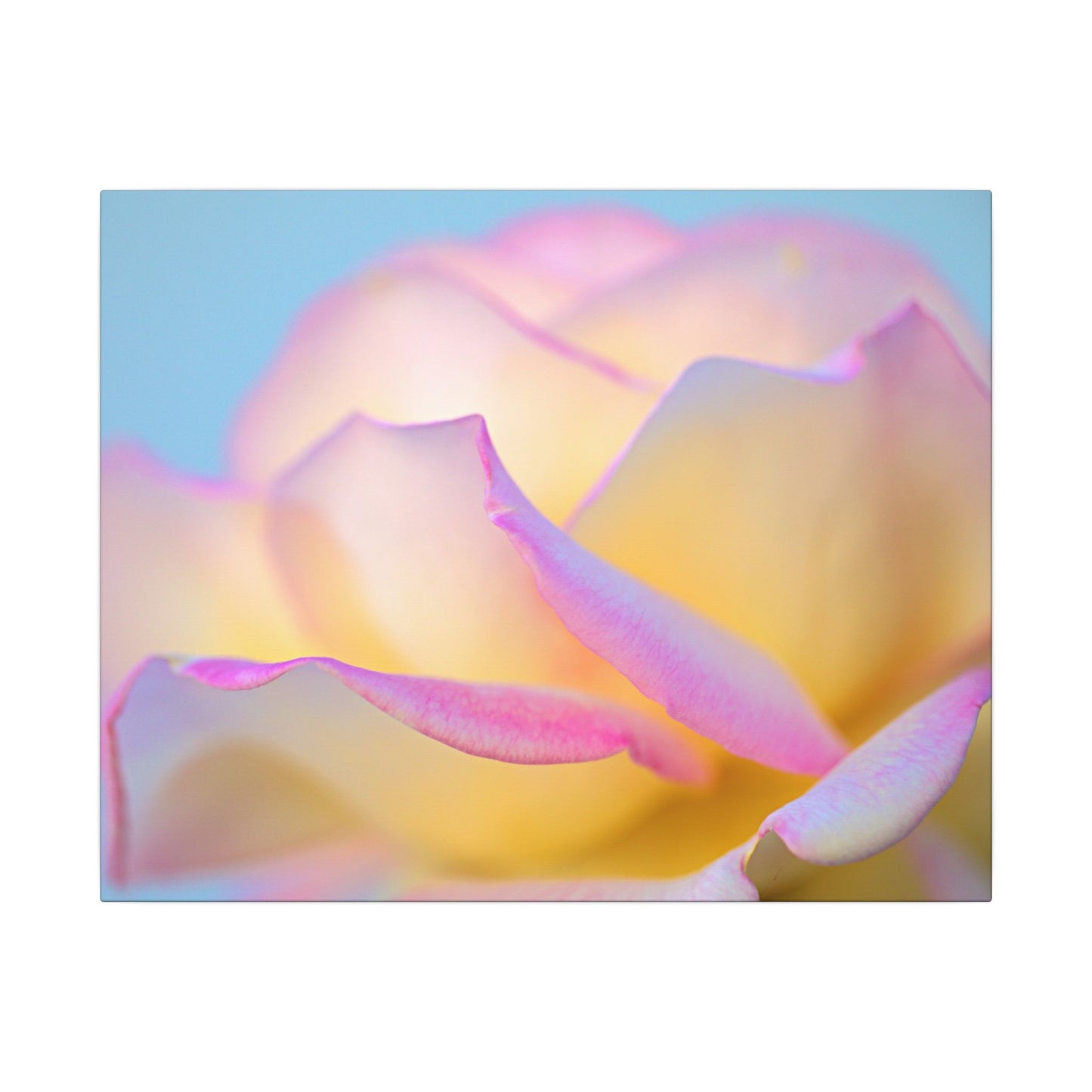 Enchanting Layers Rose Wall Art Canvas