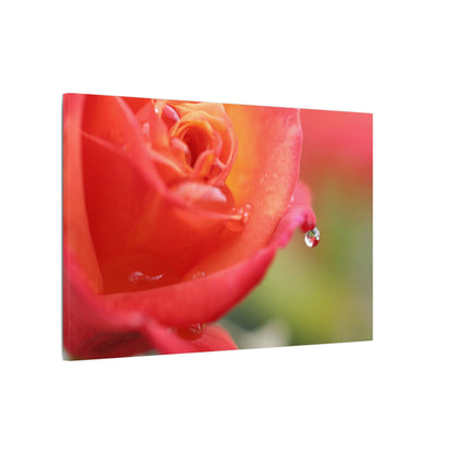 Drip Reflection Rose Wall Art Canvas