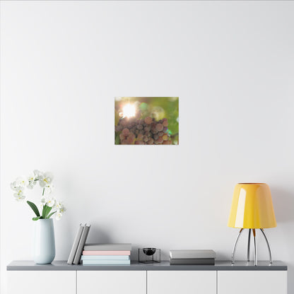 Grape Shine Wall Art Canvas