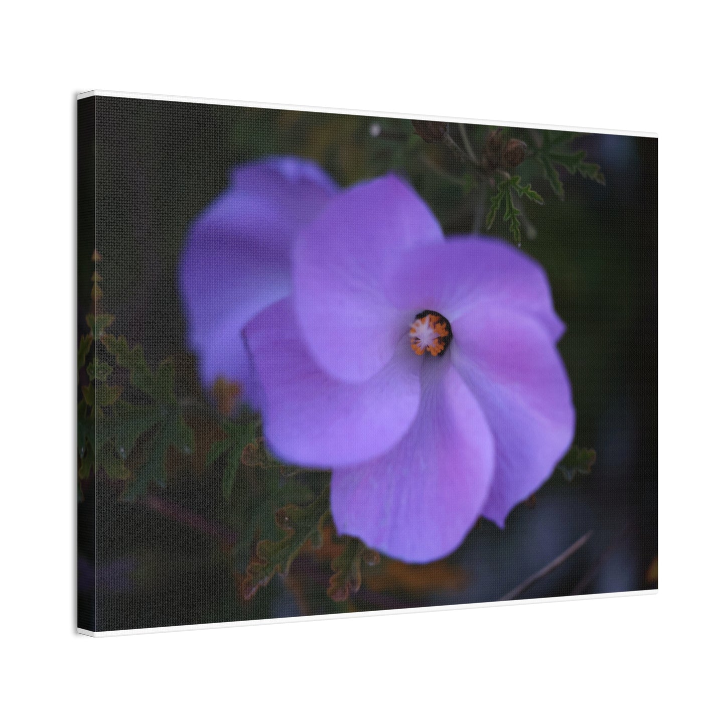 Violet Twist Wall Art Canvas