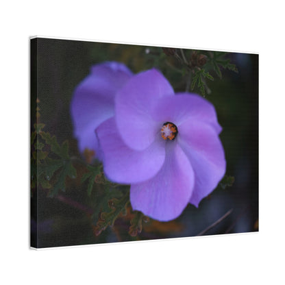 Violet Twist Wall Art Canvas