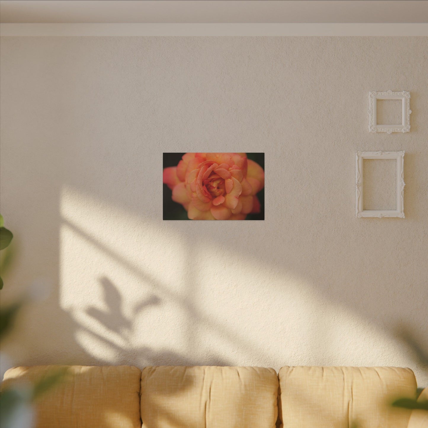 Sunset Sherbet Rose Wall Art Canvas