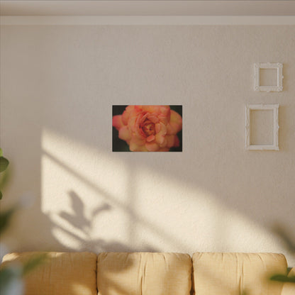 Sunset Sherbet Rose Wall Art Canvas