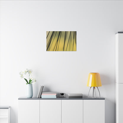 Through the Pine Needles Wall Art Canvas
