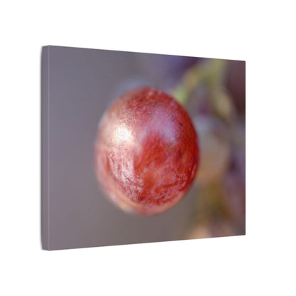 The Grape That Stood Alone Wall Art Canvas