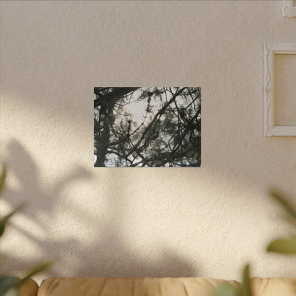 Of The Trees Wall Art Canvas