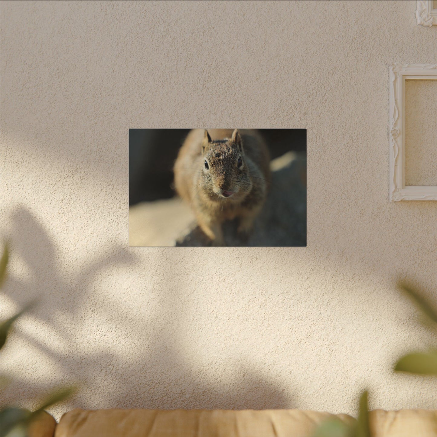 Starving Beach Squirrel Wall Art Canvas