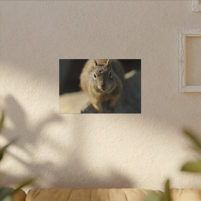 Starving Beach Squirrel Wall Art Canvas