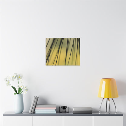 Through the Pine Needles Wall Art Canvas