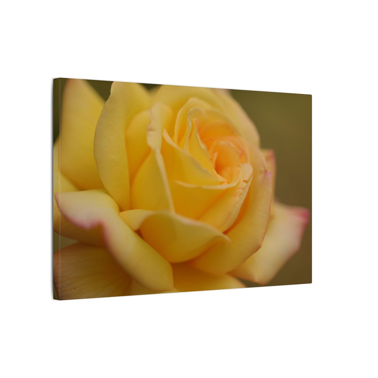Yellow Delight Rose Wall Art Canvas