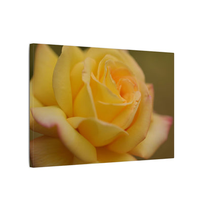 Yellow Delight Rose Wall Art Canvas
