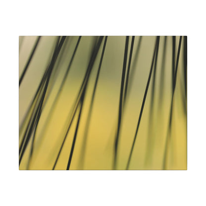 Through the Pine Needles Wall Art Canvas