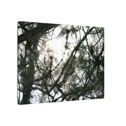 Of The Trees Wall Art Canvas