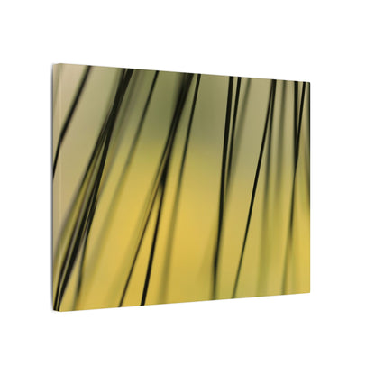 Through the Pine Needles Wall Art Canvas