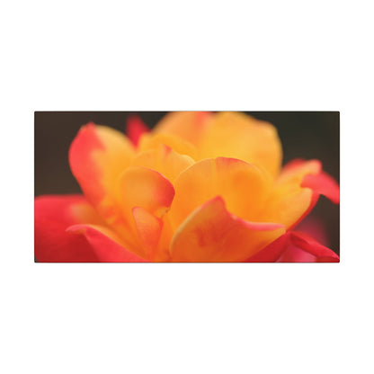 Electric Bloom Wall Art Canvas