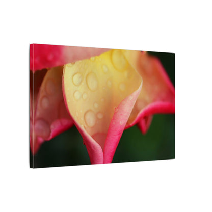 Delicate Rain Rose Wall Art Canvas