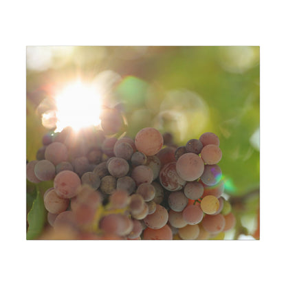 Grape Shine Wall Art Canvas