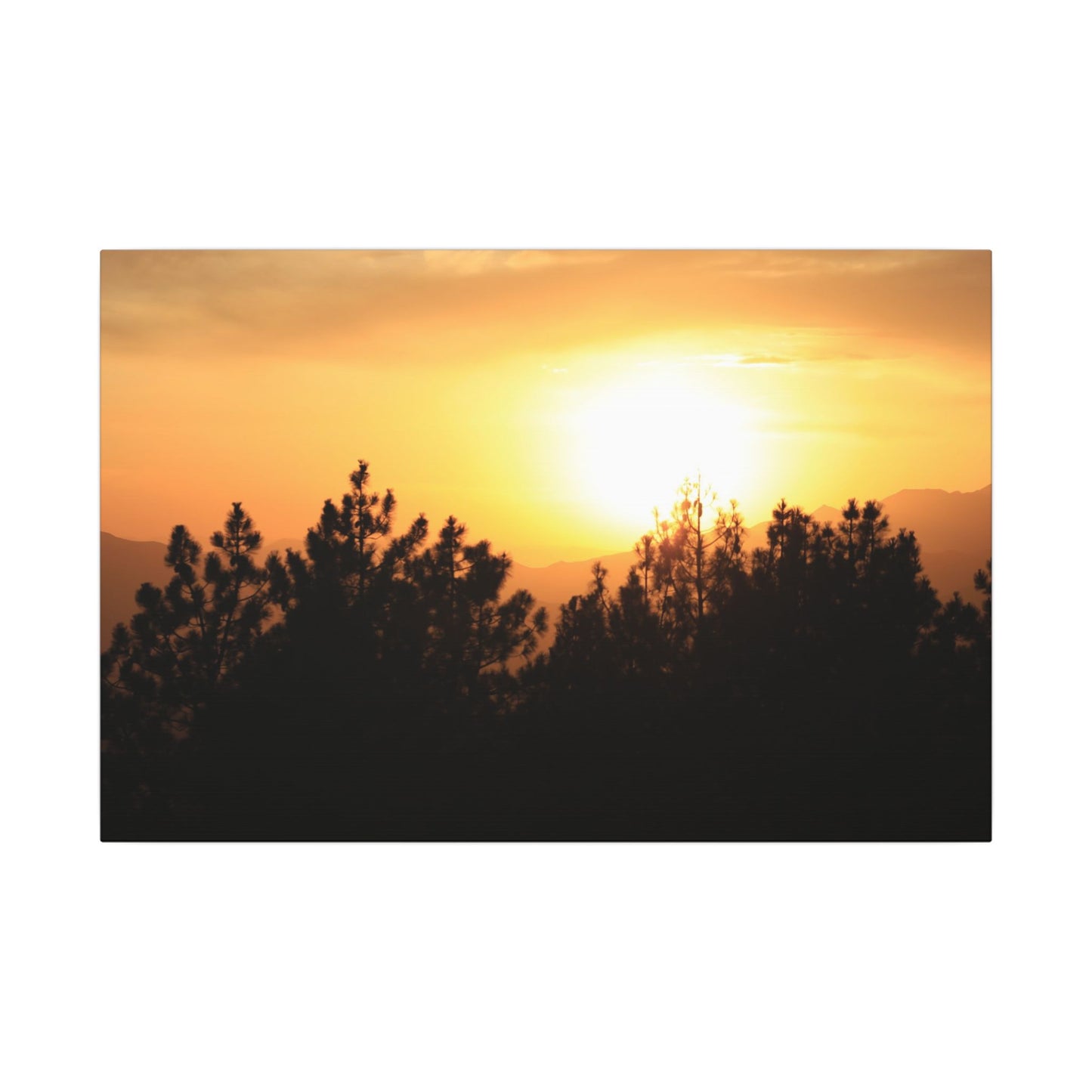 Angeles Forest Wall Art Canvas