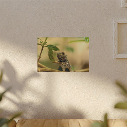 Lizard King Wall Art Canvas