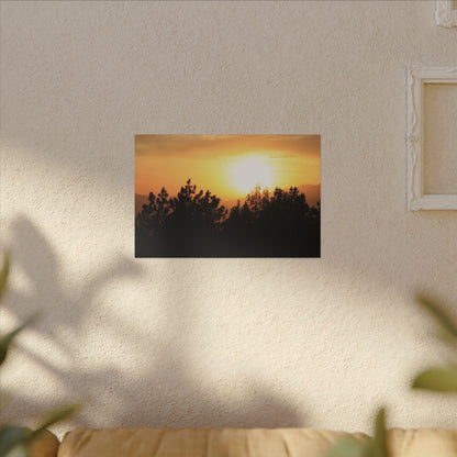 Angeles Forest Wall Art Canvas
