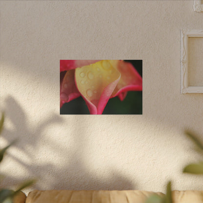 Delicate Rain Rose Wall Art Canvas