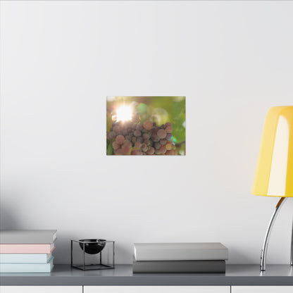 Grape Shine Wall Art Canvas