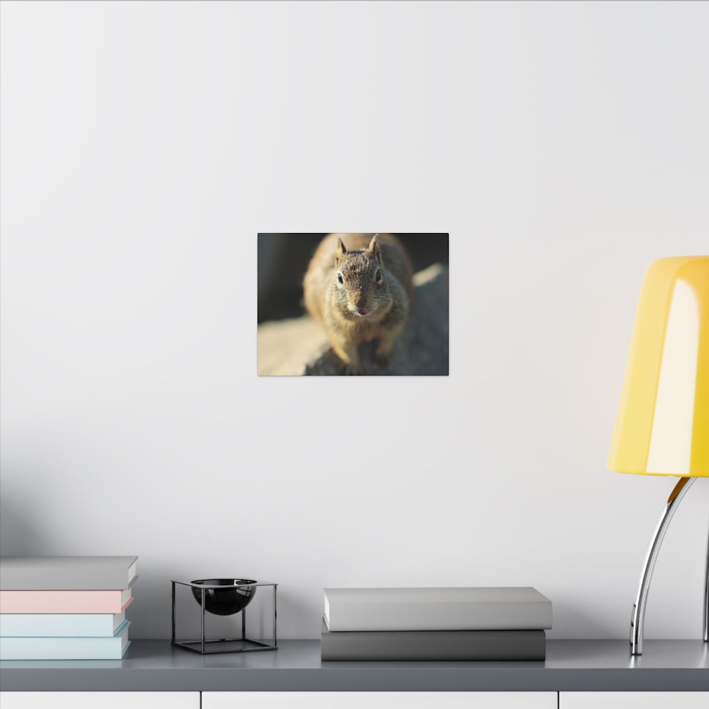 Starving Beach Squirrel Wall Art Canvas