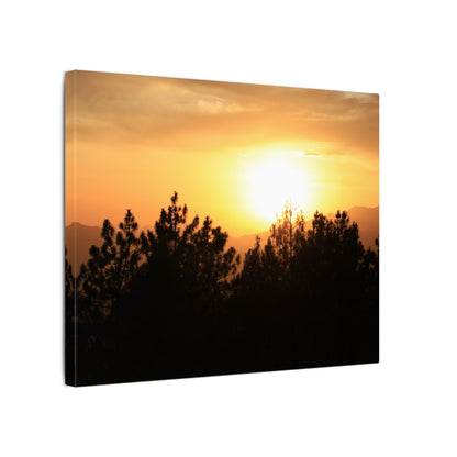 Angeles Forest Wall Art Canvas